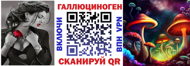 где можно купить наркотик  Нарткала  Псилоцибиновые грибы ЛСД 